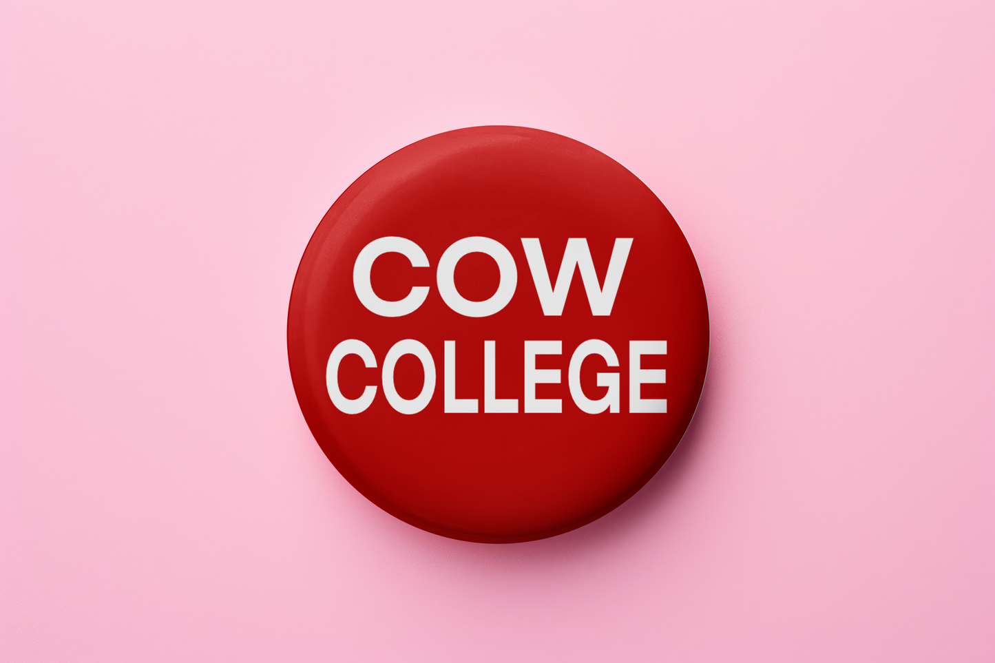 Cow College (Solid)